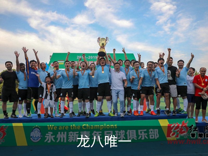 龙八唯一简介